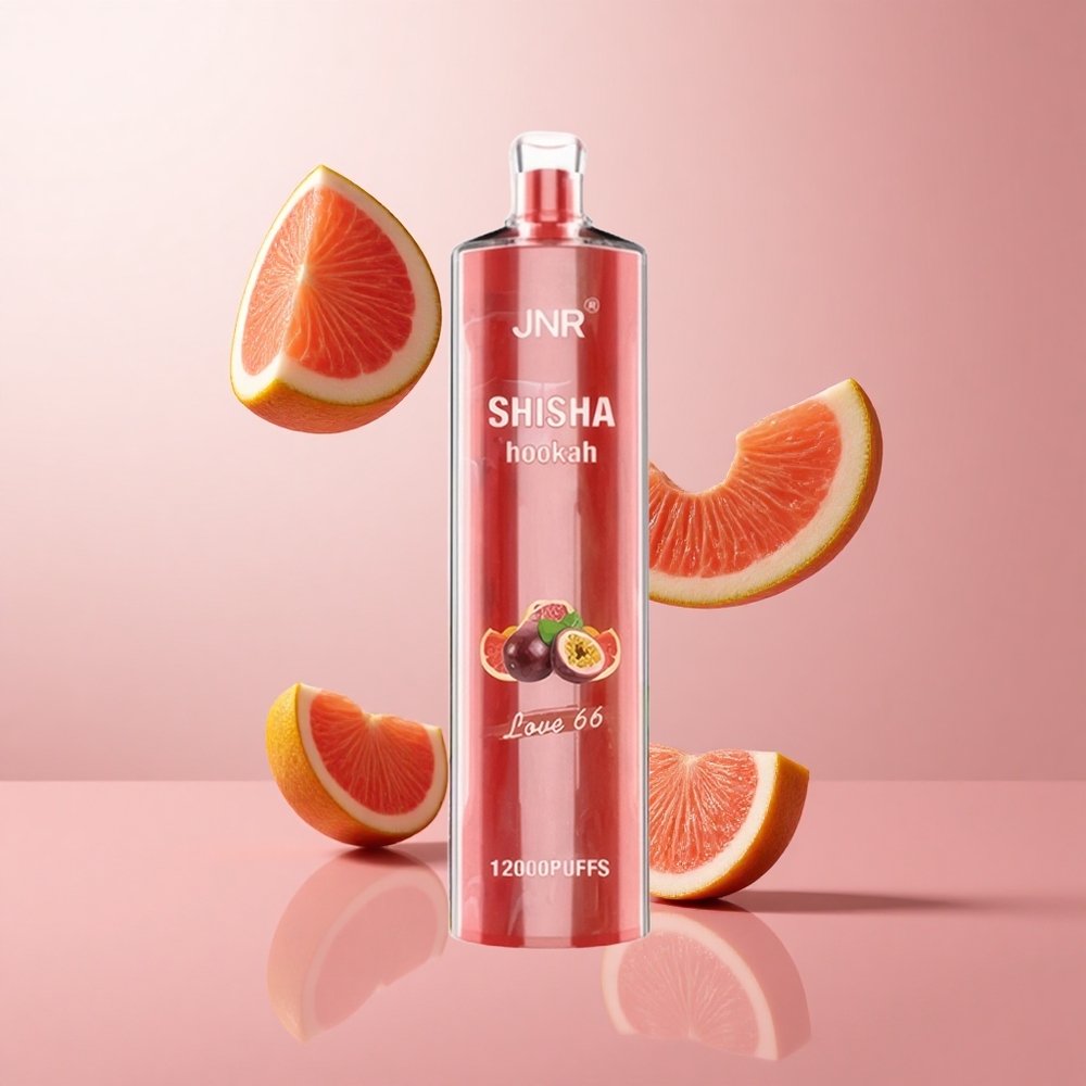 JNR Shisha Hookah 12000 Puffs Love 66 24ml 750mAh wholesale Suisse