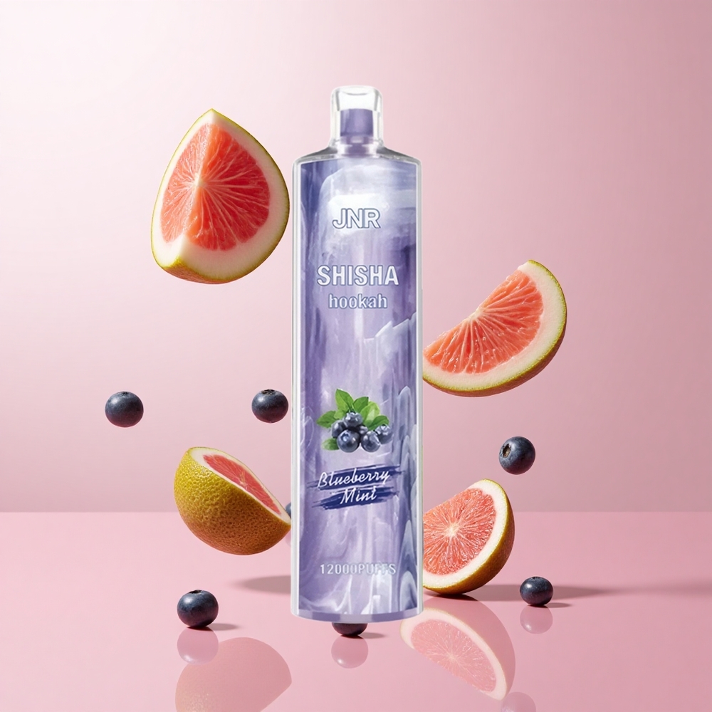 JNR Shisha Hookah 12000 Puffs Myrtille Menthe 24ml wholesale Suisse