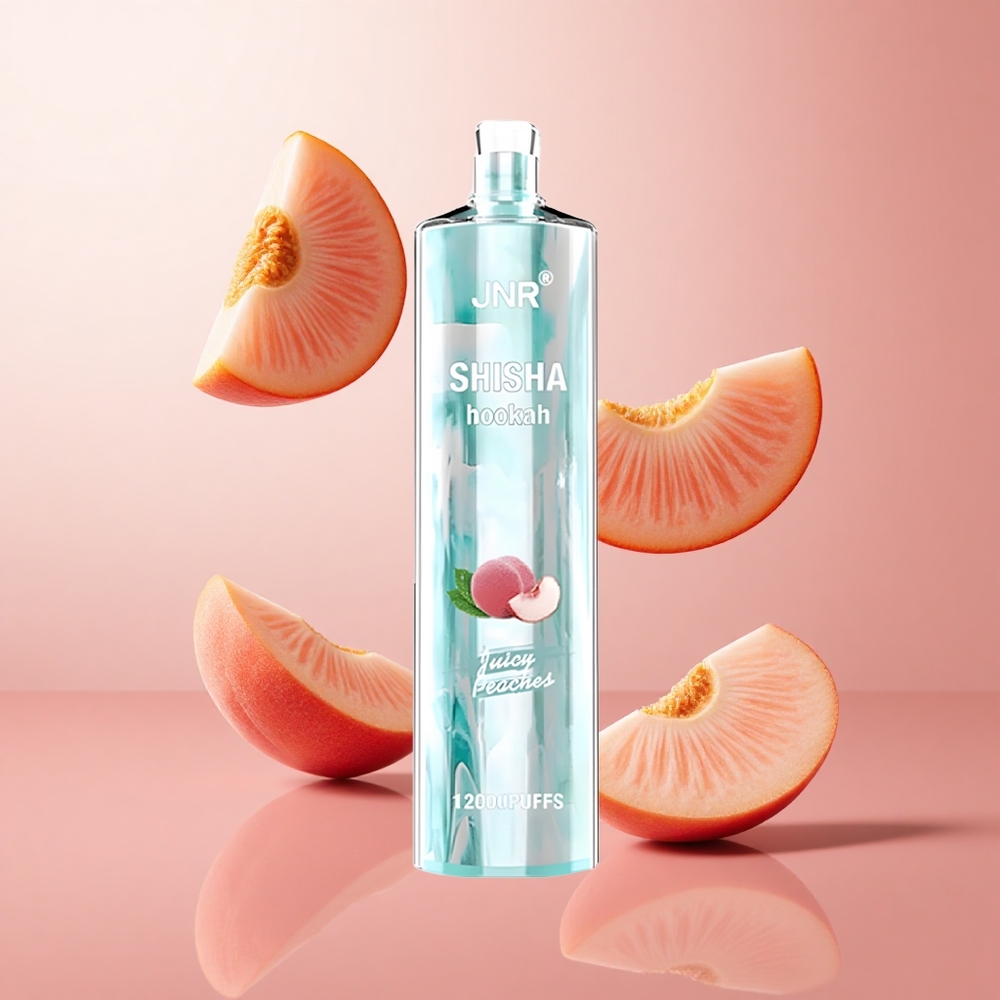 JNR Shisha Hookah 12000 Puffs Pêches Juteuses 24ml Type-C wholesale Suisse