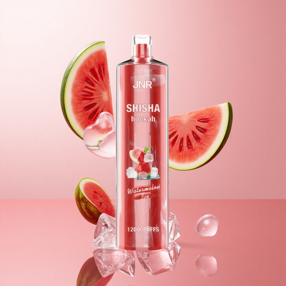 JNR Shisha Hookah 12000 Puffs Pastèque Glacée 24ml 750mAh wholesale Suisse