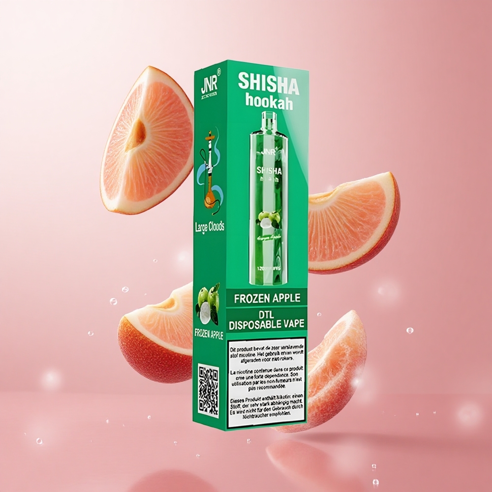 JNR Shisha Hookah 12000 Puffs Pomme Glacée 750mAh 24ml wholesale Suisse