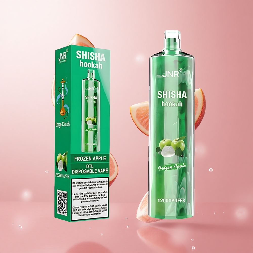 JNR Shisha Hookah 12000 Puffs Pomme Glacée 750mAh 24ml wholesale Suisse