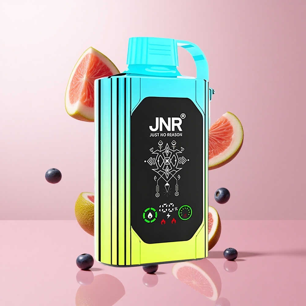 JNR Shisha Hookah Box 20500 Puffs Menthe Myrtille Affichage HD Batterie 1000mAh wholesale Suisse