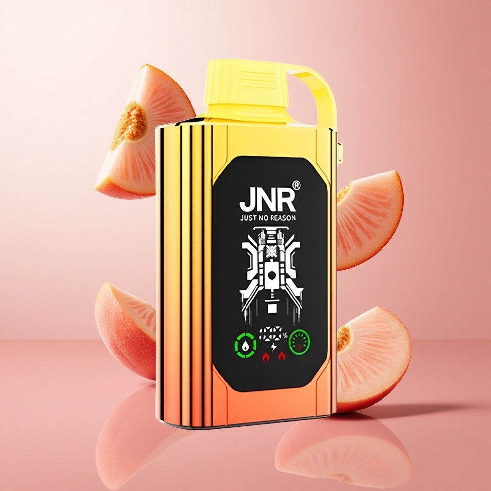 JNR Shisha Hookah Box 20500 Puffs Pêches Juteuses Affichage HD 25ml Dual Mesh Coil wholesale Suisse
